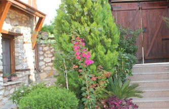 Livithron Rodon - Foto 16