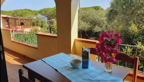 Mare blu - Foto 4, Garden view