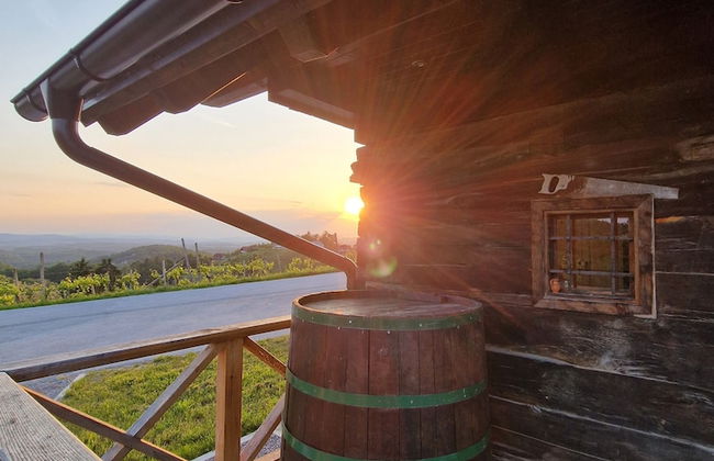 Vineyard cottage Vinska grajska kašča - Foto 21