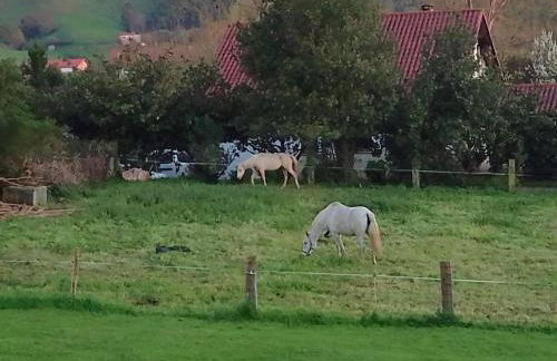 Puente Romano - Foto 37