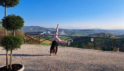 Tenuta Nonno Peppe - Foto 2