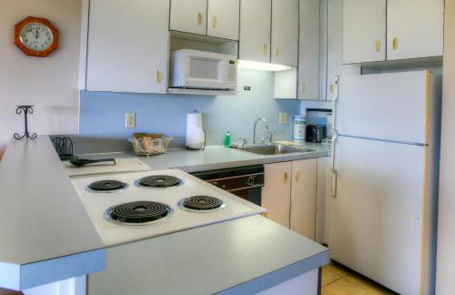 The Grey Gull - Foto 88