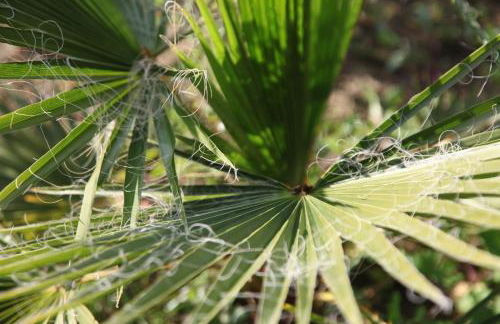 The Dragonfly Retreat - Photo 54