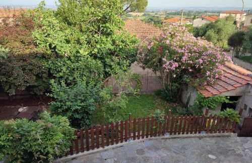 Il Fico di Cortona - Foto 35