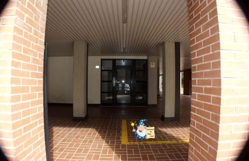 Mago Zurli' - Foto 38