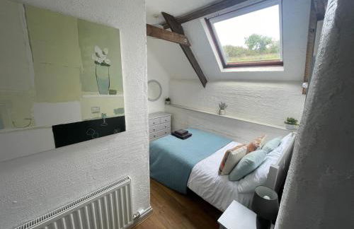 Court Cottage - cosy traditional cottage near lovely beaches - Foto 73