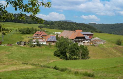 Apartment Mittelberghof by Interhome - Foto 30