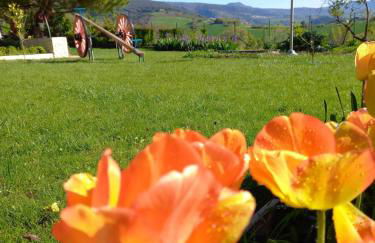 Casa Albaitar - con Piscina y Sala de juegos - Foto 49