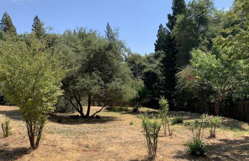 Executive home in a serene park like setting - Foto 28