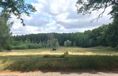 Ferienwohnung Felix - Photo 23