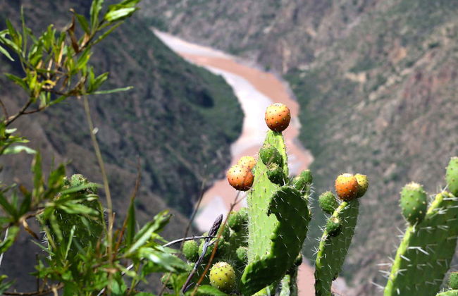 Escursione a Huatuscalla e Huanta - Foto 6