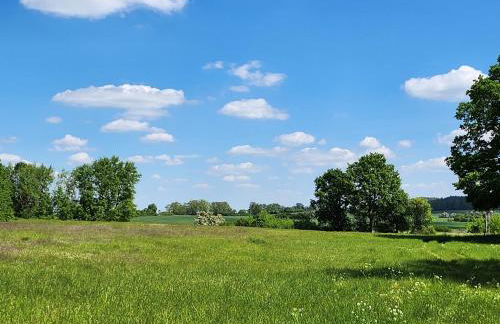 Ferienhaus Naturpur Chorin - Foto 48