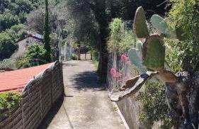 Bungalow Sixdays 3 - Photo 53