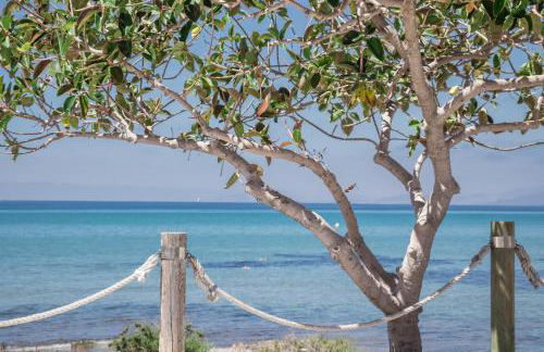 El Rinconcito de la Azohía - Foto 16