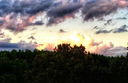 Charming Vacation Rental in a Barn on a Horse Farm near Afton Mountain in Virginia - Foto 6