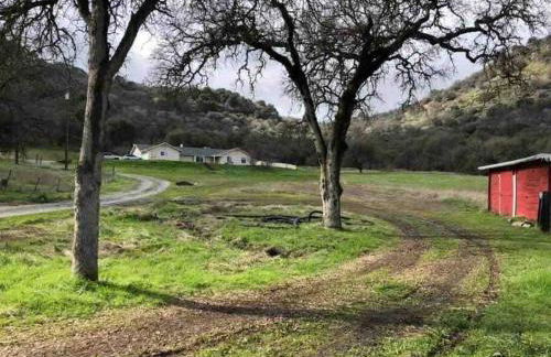 Waxberry Getaway Sequoia/Kings Canyon National Pks - Foto 36