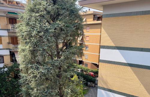 Vinc & Pina - Home - Foto 2