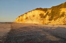Les roses à la plage - Foto 14