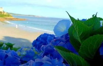 GITE MORGANE Spa privatif et Sauna - Foto 19