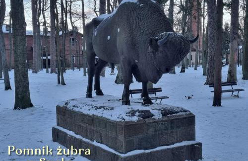 Apartament Corner Cappuccino z wanną z hydromasażem w centrum Tomaszowa! Parliamo anche Italiano! - Foto 32