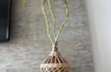 Mia's Home - Foto 32