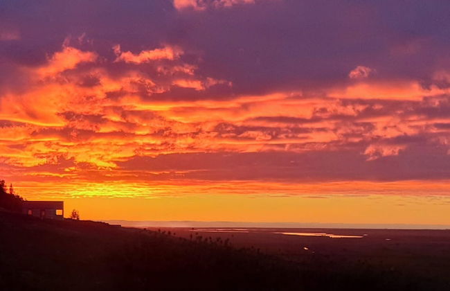 Svartaborg - Foto 36