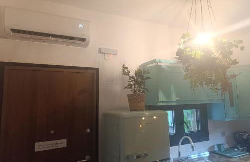 Vintage Lux Homes - Foto 40