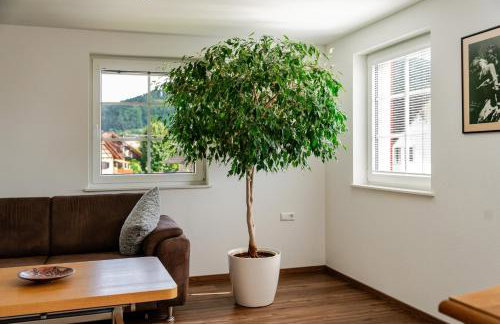 Ferienwohnung Anna Durbach - Photo 12