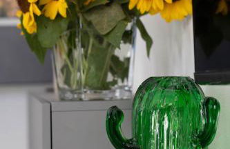 Appartamento Camisa - Il Fico - Foto 14