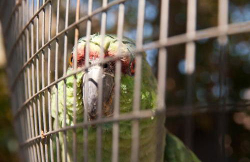 Faros Rooms - Foto 29