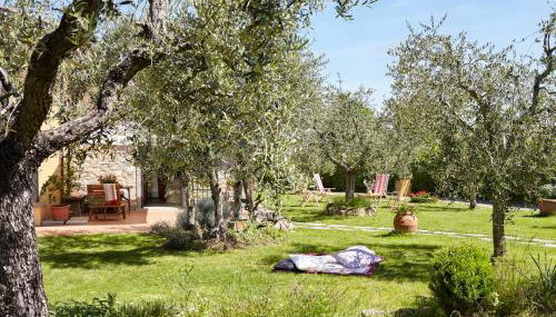 Podere La Casuccia - Foto 5, Garden