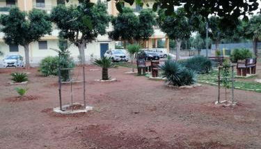 Vacanze in Puglia - Foto 2