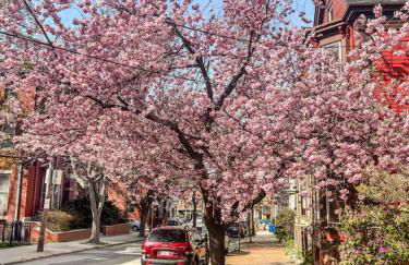 Spacious Portland Home With Parking - Foto 18