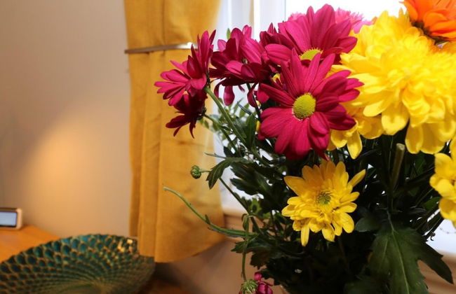 Connelly House - Motherwell - Foto 37