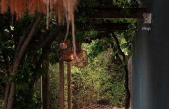 Casa Do Ti Gil - Foto 5