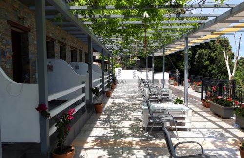 Ammos papanero - Foto 15