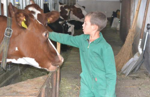 Gruberhof - Photo 13