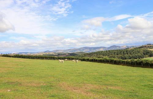 The Stables At Cae Gwyn - Foto 49