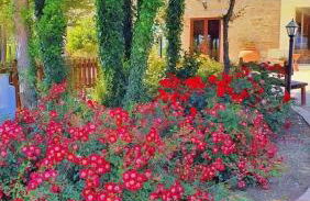 Agriturismo il Pioppeto - Foto 44