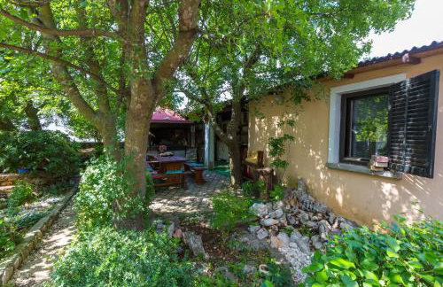 Apartment Dom - Photo 26