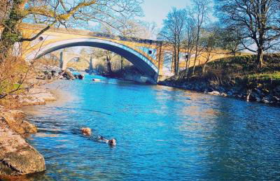 3 Beck Head Kirkby Lonsdale - Foto 35