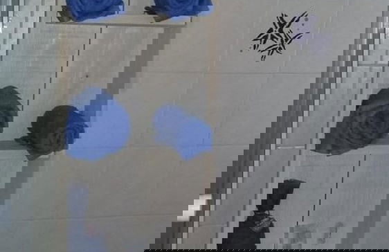 Oca Giuliva - Foto 16