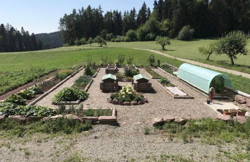 Blockhaus Almhütte Wiesenglück - Foto 3