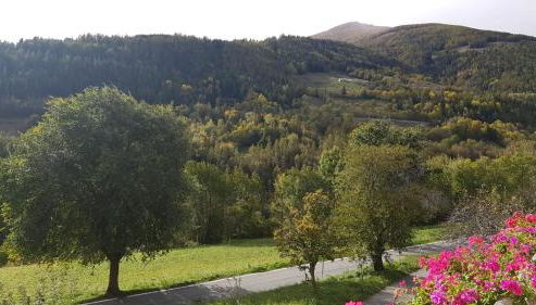 Rayon de soleil CIR 0016 Allein - Foto 2