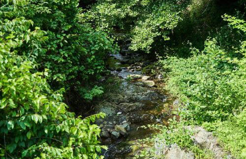 Ca' de Paggia - Foto 32