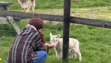 Cosy Off Grid Shepherds Hut with Wood Fired Hot Tub - Foto 3