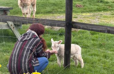 Cosy Off Grid Shepherds Hut with Wood Fired Hot Tub - Foto 3