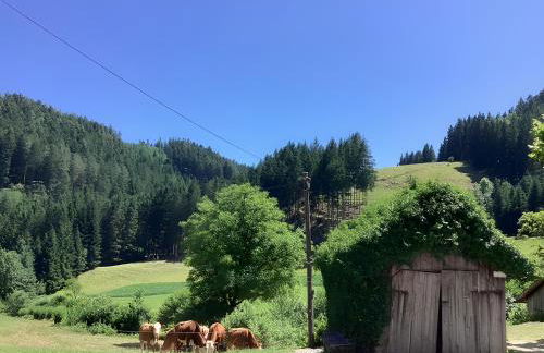 Waldbauernhof - Foto 75