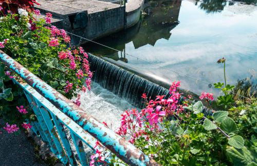 Green cosy - Foto 17