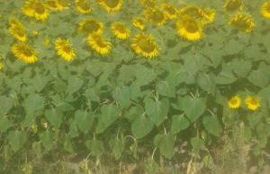 Hotel-Apartments La Strada - Foto 118